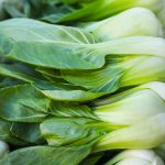 The Bountiful Benefits of Chinese Cabbage