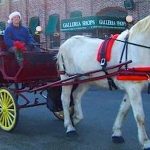 Holiday Horse and Wagon Rides