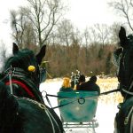 Valentine’s Day: Take a Romantic Sleigh Ride