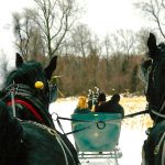 Dashing Through the Snow in a One (or Two) Horse Open Sleigh
