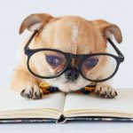 Reading to a Dog at RVC Public Library