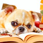 Reading to a Dog