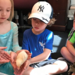 5 Lessons My Kids Learned from Hatching Baby Chicks