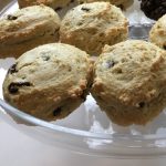 Gluten Free Protein Cookies