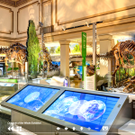 Take a Virtual Trip to One of These Museums or Parks