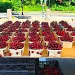 Ridgewood’s Farm to Table Fresh Produce