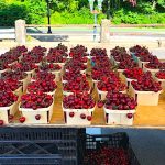 Farm to Table Fresh Produce in Ridgewood