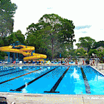 The Lynbrook Pool is Open!