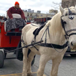 Carriages and Carolers in Summit