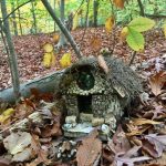 Things to Do with Kids: Take Them on a Fairy Trail.