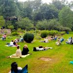 The Sounds of a Summer Night Music Performance