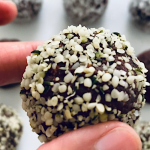 Gluten-Free, Black Bean Brownie Balls