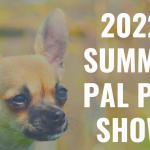 Show Off Your Favorite Furry Friends at the Summit Pet Show